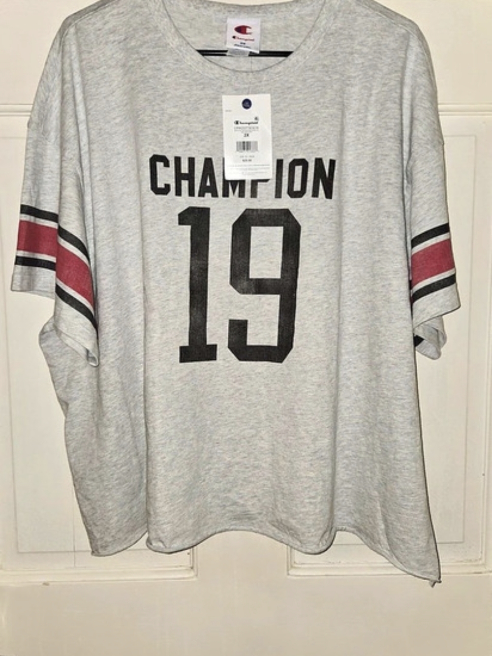 Champion Graphic Tee 19 in Gray Size 2X NWT